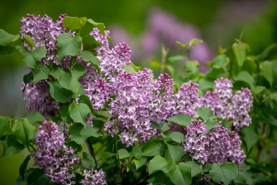 Прогноз погоды на неделю с 19 по 25 мая: в округ придет похолодание, дожди и ветер