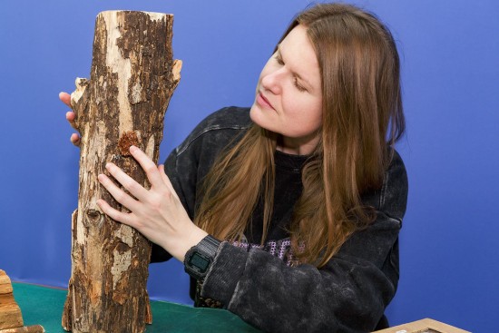 Дарвиновский музей приглашает людей с особенностями здоровья на интерактивное знакомство с природой