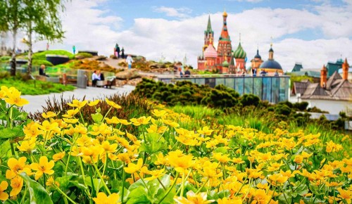 Специалисты экопроекта «Гнездо вяхиря» приглашают на занятие «Сияние лета» 22 мая