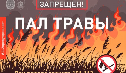 Москвичей предупредили о том, как опасен пал травы