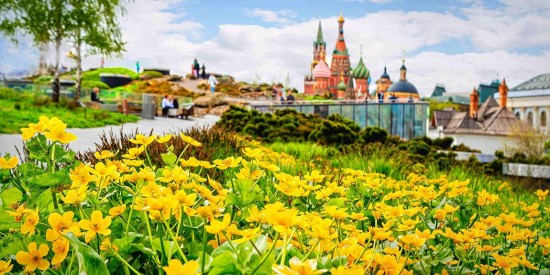 Специалисты экопроекта «Гнездо вяхиря» приглашают на занятие «Сияние лета» 22 мая