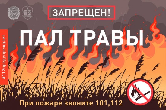 Москвичей предупредили о том, как опасен пал травы