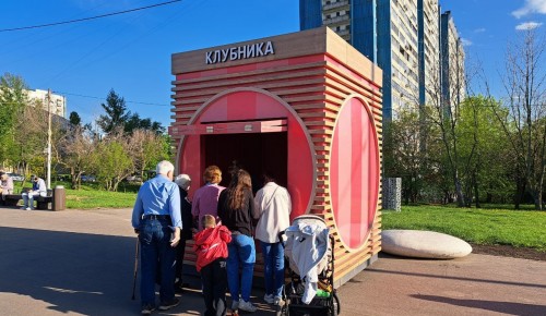 В Гагаринском районе открылись точки по продаже клубники