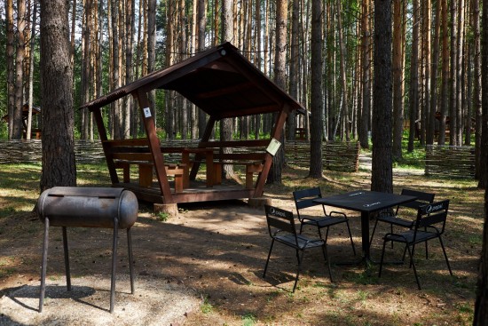 Специалисты ГОЧСиПБ рассказали о безопасных местах для пикников