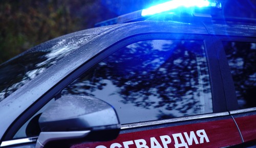Росгвардейцы помогли пожилой москвичке вернуться домой