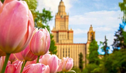 Экоцентр «Битцевский лес» проведет мероприятия 5 и 19 июня в рамках проекта «Летние лектории»