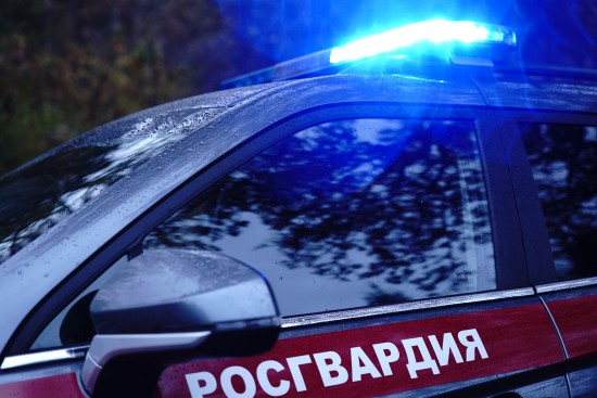 Росгвардейцы помогли пожилой москвичке вернуться домой