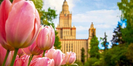 Экоцентр «Битцевский лес» проведет мероприятия 5 и 19 июня в рамках проекта «Летние лектории»