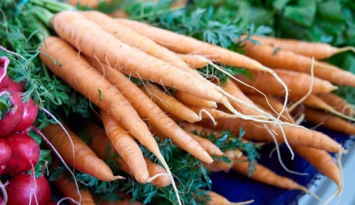 Как семья фермеров из Подмосковья помогает бойцам СВО