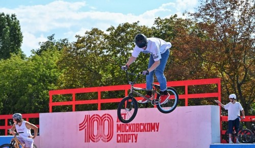 Собянин: Четыре больших спортивных фестиваля пройдут в Москве в этом году