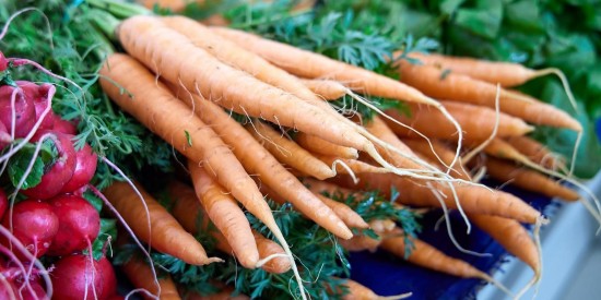 Как семья фермеров из Подмосковья помогает бойцам СВО