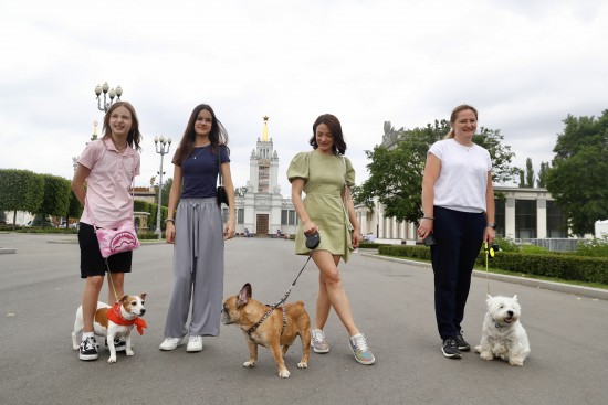 С собакой на выставку: ВДНХ развивает культуру pet-friendly