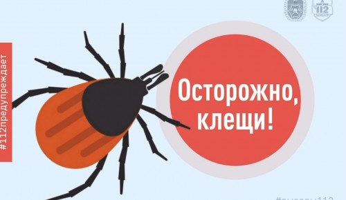 Сезон активности. В Службе 112 рассказали о клещах