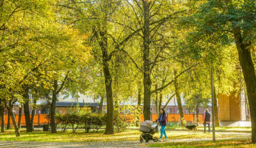 Сергей Собянин сообщил о планах благоустройства на юго-востоке Москвы