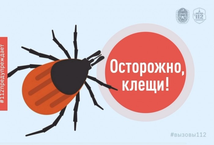 Сезон активности. В Службе 112 рассказали о клещах