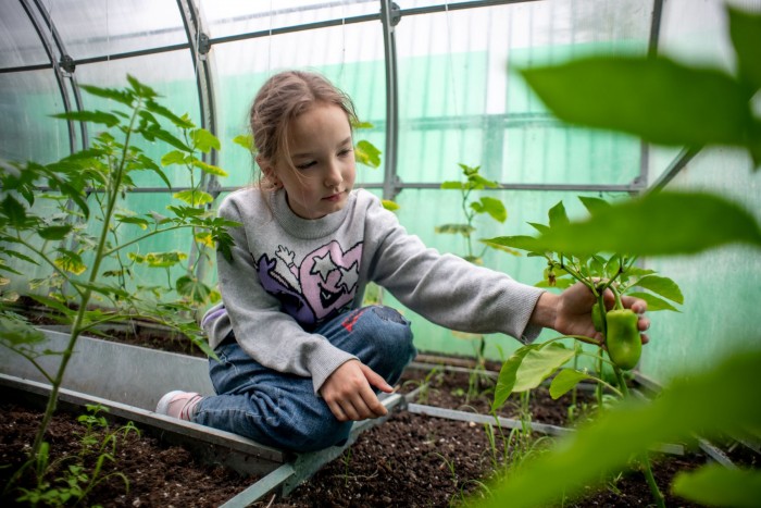 Как вырастить арбузы на подоконнике: школьники из ЮЗАО поделились секретами богатого урожая