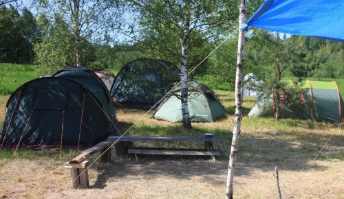 Ученики школы №192 прошли полевую практику в деревне Лядины