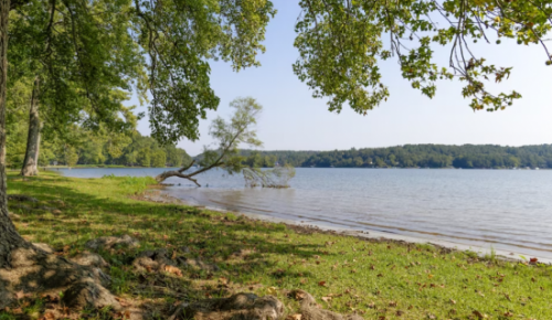 Роспотребнадзор запретил купаться в зоне отдыха «Тропарево»