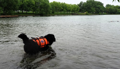 В Южном Бутове организовали мероприятие «Водный форсаж»