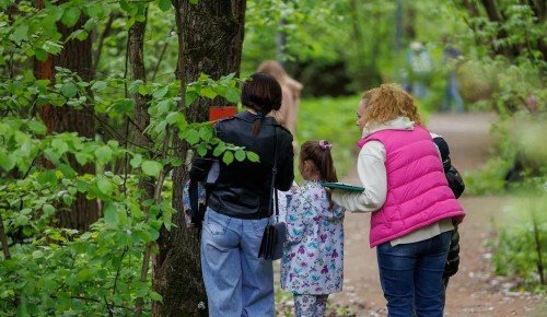 В экоцентре «Битцевский лес» организуют экскурсию «Лес глазами натуралиста»