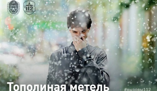 В Службе 112 напомнили об опасности поджогов тополиного пуха