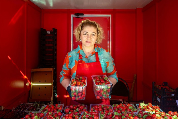 Вкус лета: где в ЮЗАО купить самые свежие ягоды