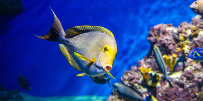 Экоцентры ЮЗАО приглашают на мероприятия к Всемирному дню рыболовства