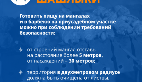 Сотрудники МЧС рассказали, как безопасно жарить шашлыки