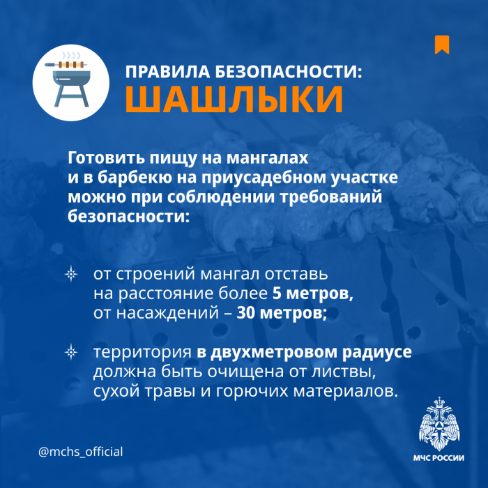 Сотрудники МЧС рассказали, как безопасно жарить шашлыки