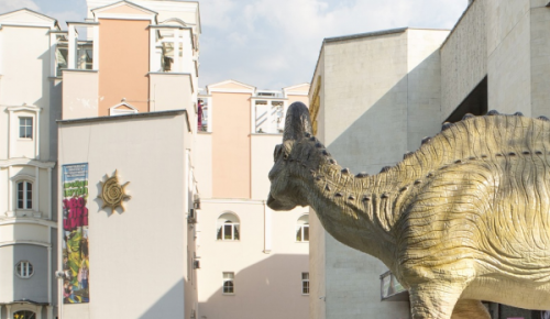 Дарвиновский музей подготовил насыщенную программу ко Дню семьи, любви и верности