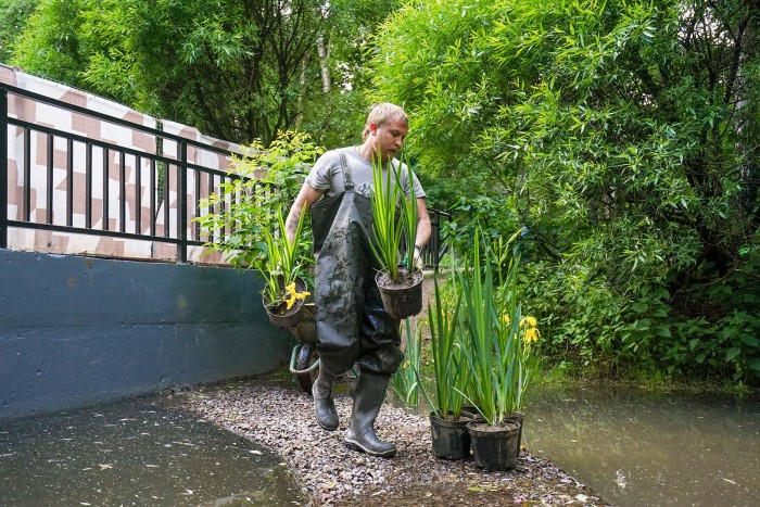 В ЮЗАО высадят 14 тыс. водных растений для восстановления экосистемы прудов