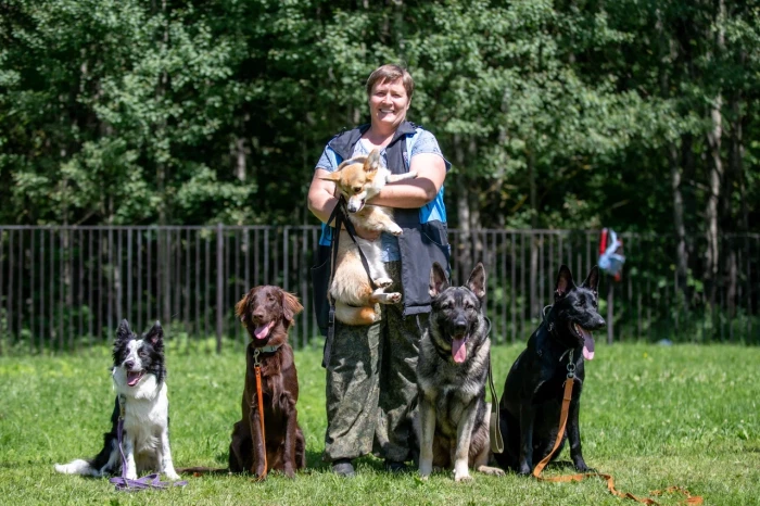 Овчарки, корги, бордер-колли: кинолог из ЮЗАО рассказала о самых умных породах собак
