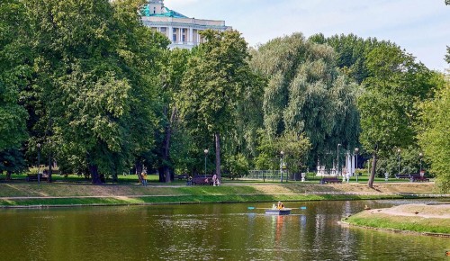 В Екатерининском парке дополнительно высадят деревья — Мэр Москвы