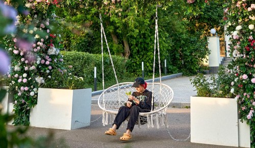 Двор со скульптурами животных появится в жилом комплексе в Академическом районе