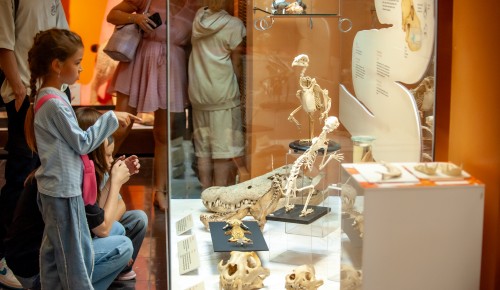 Пройти путем эволюции: Дарвиновский музей принял участие в «Московской музейной неделе»