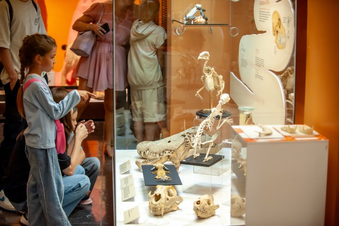 Пройти путем эволюции: Дарвиновский музей принял участие в «Московской музейной неделе»