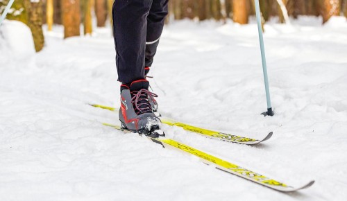 В районе Ясенево создадут лыжную трассу с круглосезонным обслуживанием