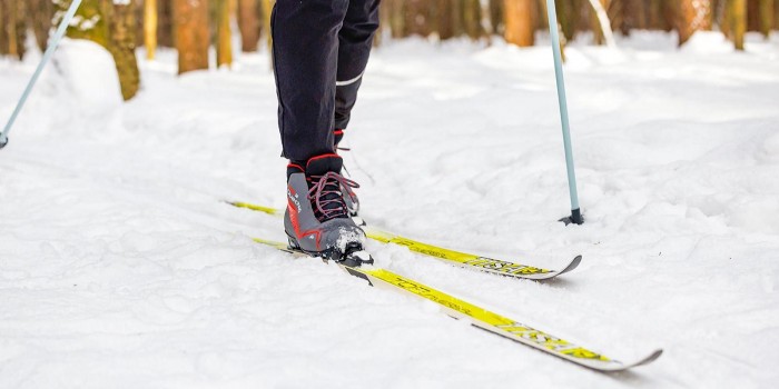 В районе Ясенево создадут лыжную трассу с круглосезонным обслуживанием