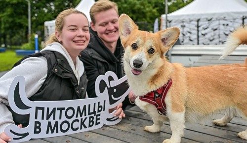 Москвичи поделятся идеями по созданию комфортной среды для домашних питомцев