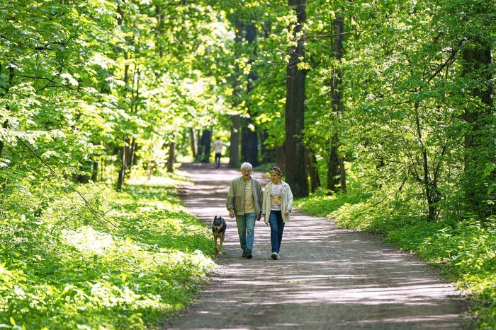 В ЮЗАО создано 16 новых площадок для выгула собак
