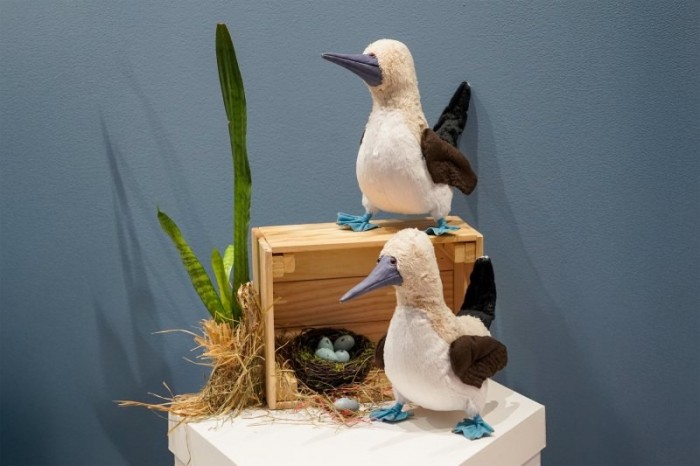 В Дарвиновском музее открылась выставка текстильных птиц Ирины Дюжевой