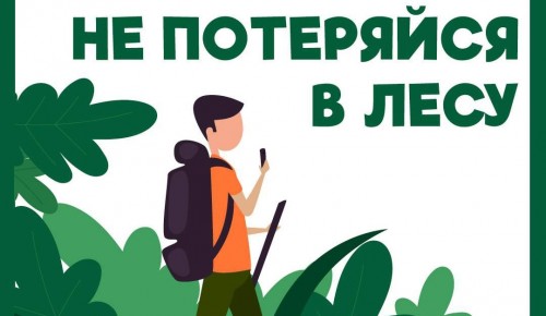 Не потеряйся: советы кинолога Пожарно-спасательного центра, как не заблудиться в лесу