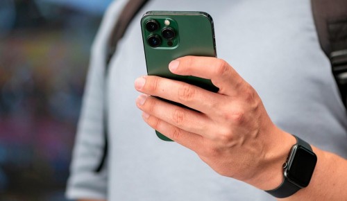 Собянин: Более 250 общественных проектов москвичей получили поддержку города