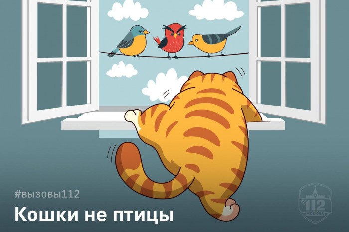 В Службе 112 напомнили о безопасности питомцев