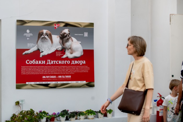 Породистый фарфор: выставка статуэток собак эпохи модерн проходит в ЮЗАО