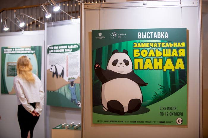 Символ Китая: в Дарвиновском музее открылась выставка «Замечательная большая панда»