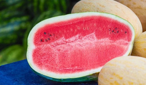 В Котловке открылся сезонный бахчевой развал