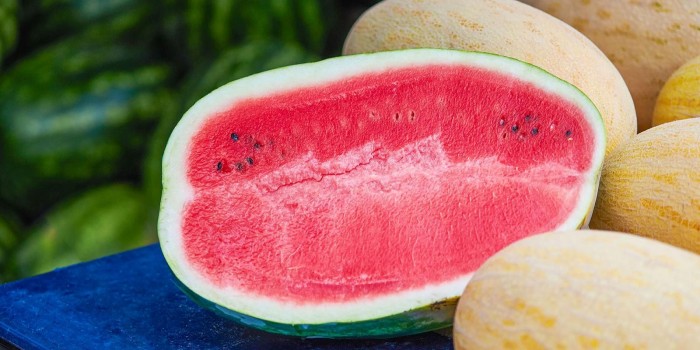 В ЮЗАО начали работу 25 точек по продаже арбузов и дынь