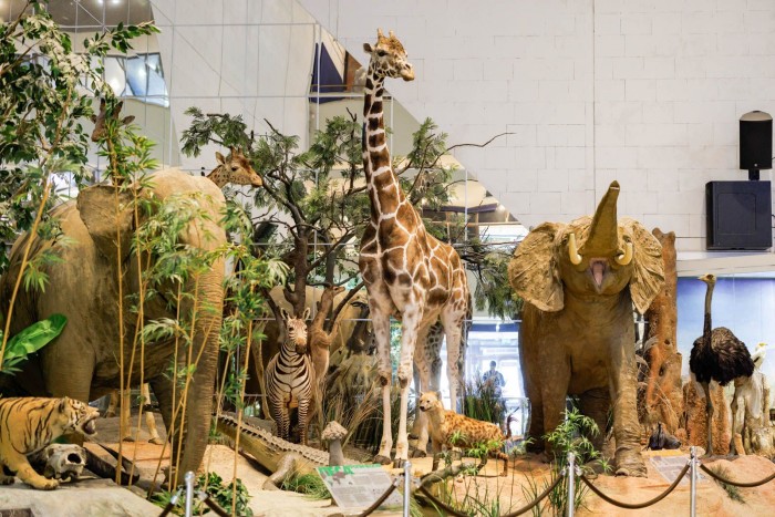 «Активный гражданин» запустил образовательный квест в Дарвиновском музее