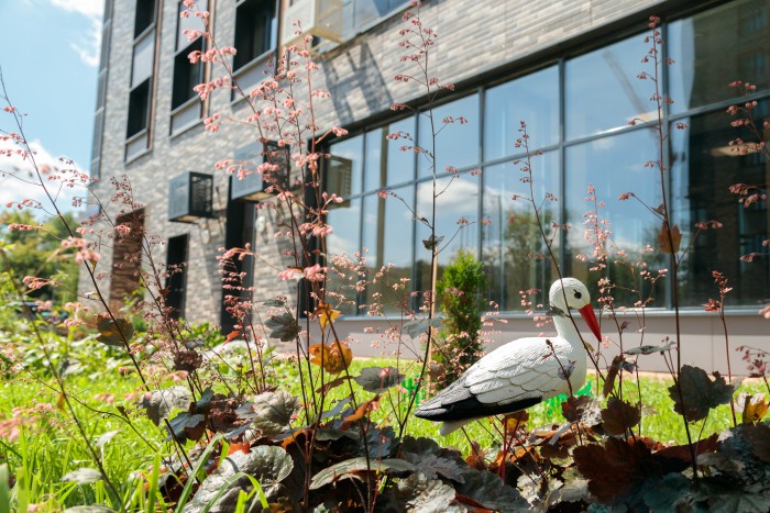 8 лет программе реновации: каких результатов удалось достичь в ЮЗАО